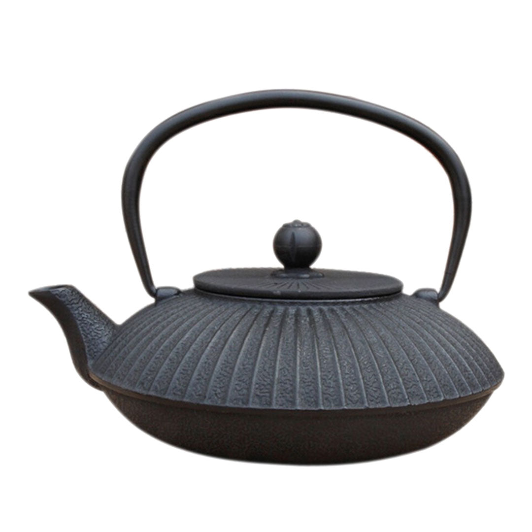 theiere-japonaise-fonte-traditionnelle